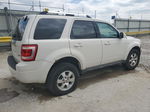 2009 Ford Escape Limited Белый vin: 1FMCU94GX9KC56589