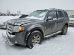 2009 Ford Escape Limited Blue vin: 1FMCU94GX9KC64420