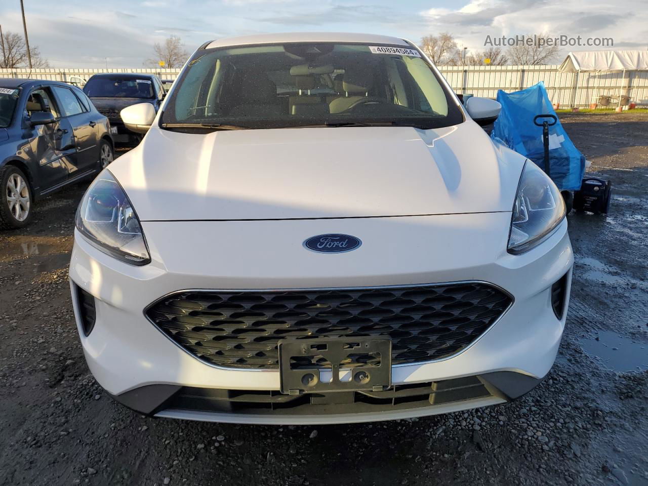 2021 Ford Escape Se White vin: 1FMCU9BZ0MUB03222