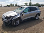 2021 Ford Escape Se Gray vin: 1FMCU9BZ3MUA44053