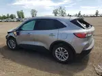 2021 Ford Escape Se Gray vin: 1FMCU9BZ3MUA44053