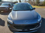 2021 Ford Escape Sel Hybrid vin: 1FMCU9CZ4MUA82566