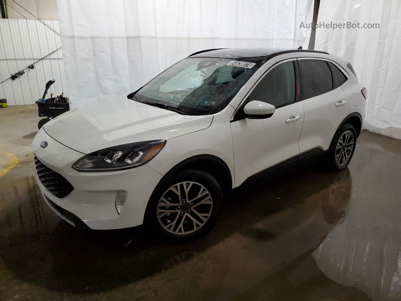 2021 Ford Escape Sel White vin: 1FMCU9CZ5MUA73892