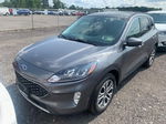 2021 Ford Escape Sel Hybrid Unknown vin: 1FMCU9CZ6MUA83556