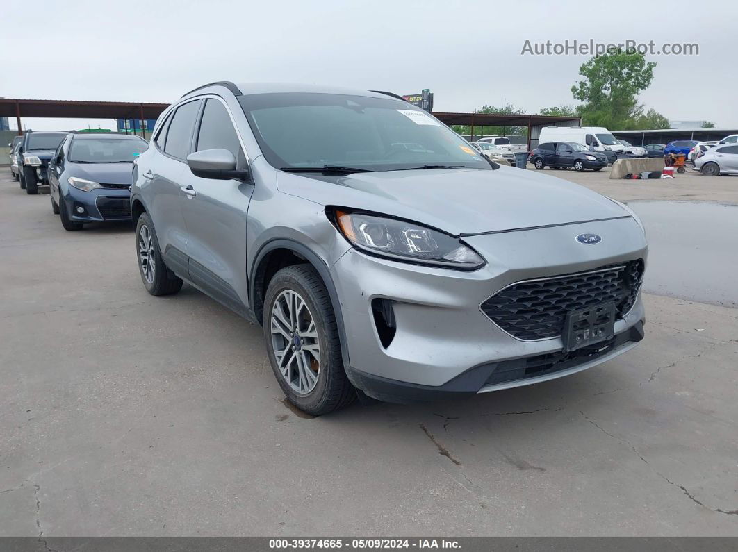 2021 Ford Escape Sel Hybrid Gray vin: 1FMCU9CZ8MUA52017