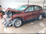 2021 Ford Escape S Коричневый vin: 1FMCU9F66MUA45925