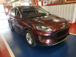 2021 Ford Escape Se vin: 1FMCU9G60MUA42758