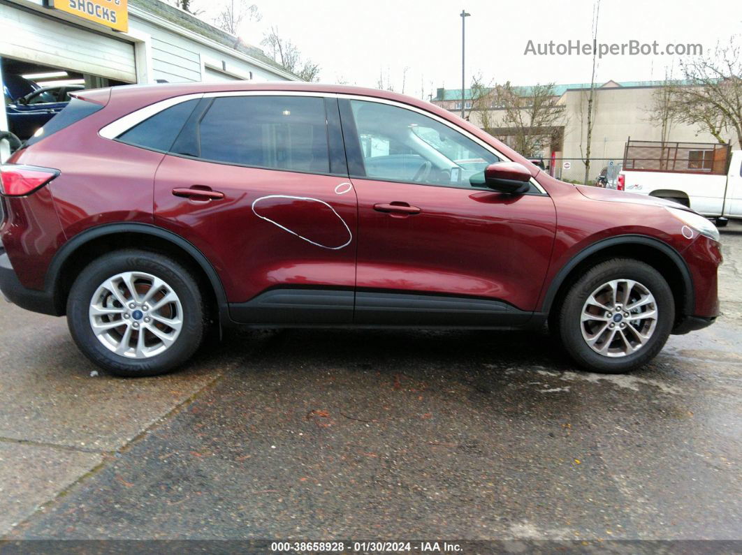 2021 Ford Escape Se Burgundy vin: 1FMCU9G64MUA38695