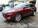 2021 Ford Escape Se Burgundy vin: 1FMCU9G64MUA38695