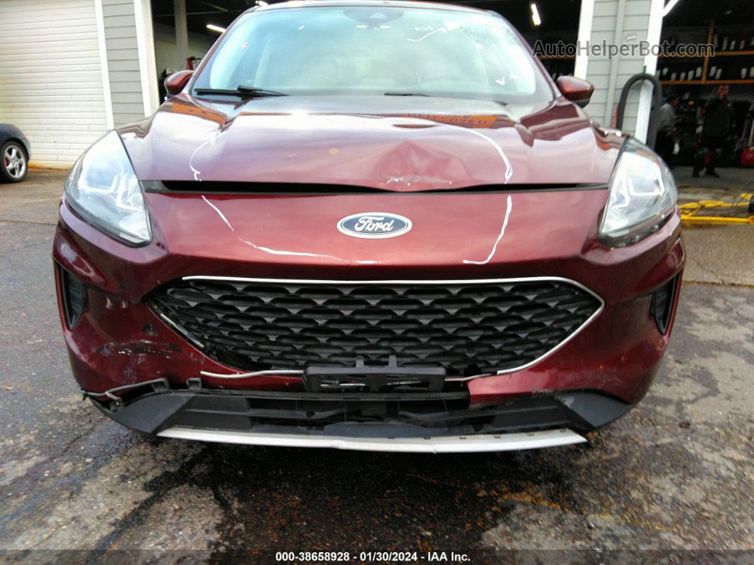 2021 Ford Escape Se Burgundy vin: 1FMCU9G64MUA38695