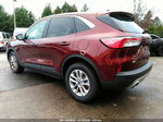 2021 Ford Escape Se Burgundy vin: 1FMCU9G64MUA38695