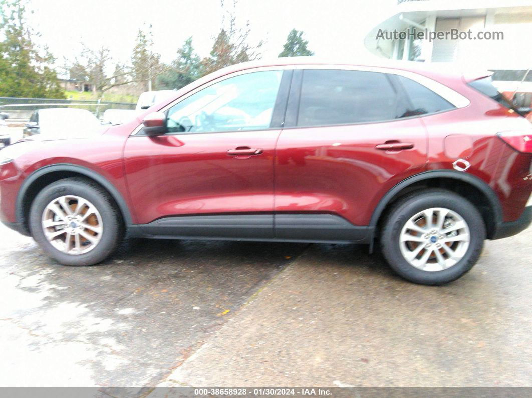 2021 Ford Escape Se Burgundy vin: 1FMCU9G64MUA38695