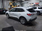 2021 Ford Escape Se White vin: 1FMCU9G65MUA58535