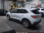 2021 Ford Escape Se White vin: 1FMCU9G65MUA58535