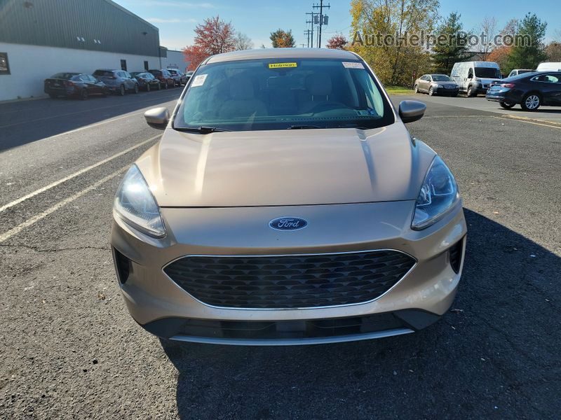 2021 Ford Escape Se Unknown vin: 1FMCU9G65MUA68935