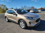 2021 Ford Escape Se Unknown vin: 1FMCU9G65MUA68935