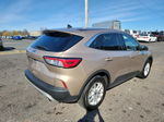 2021 Ford Escape Se Unknown vin: 1FMCU9G65MUA68935