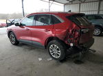 2021 Ford Escape Se Burgundy vin: 1FMCU9G65MUA98310