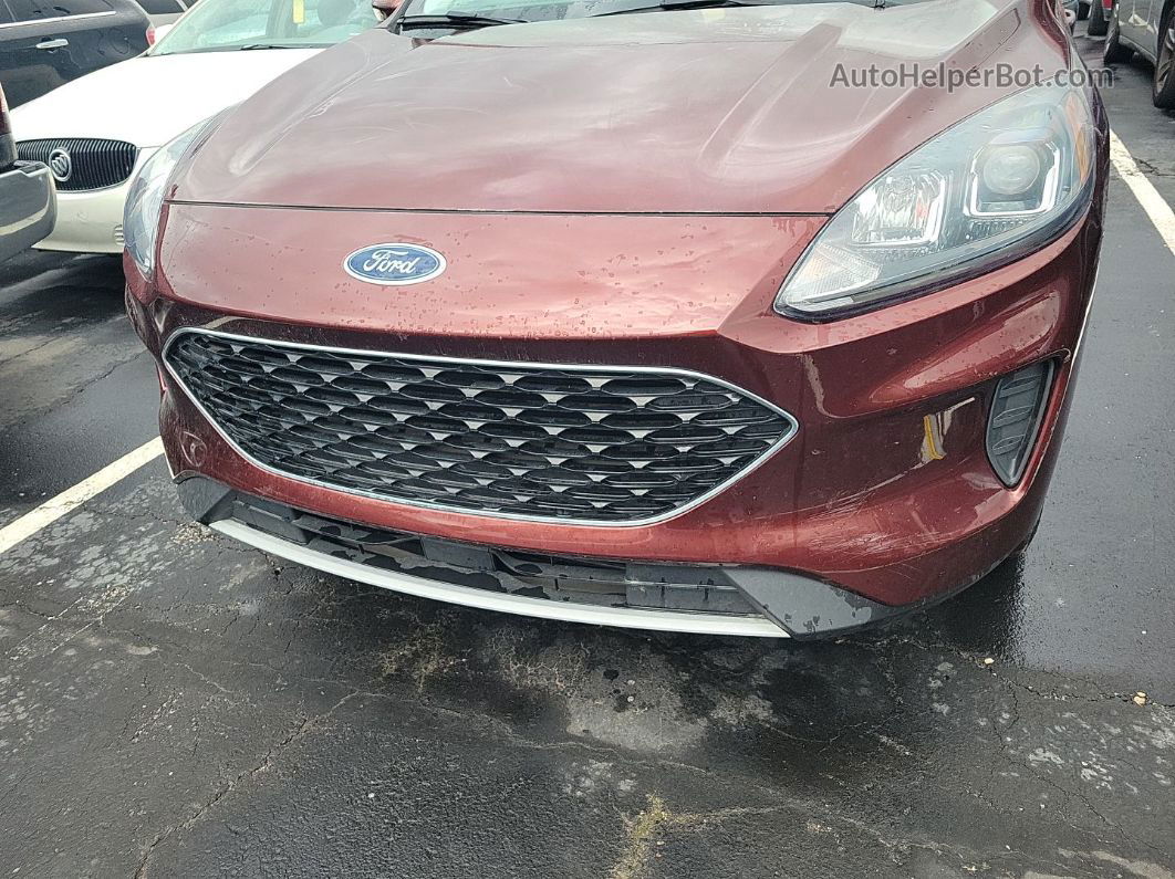 2021 Ford Escape Se vin: 1FMCU9G66MUA42795