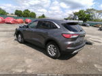 2021 Ford Escape Se Gray vin: 1FMCU9G67MUB07329