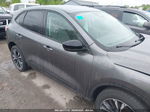 2021 Ford Escape Se Gray vin: 1FMCU9G68MUA47707