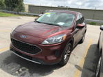 2021 Ford Escape Se Unknown vin: 1FMCU9G6XMUA42671