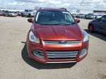 2014 Ford Escape Se Оранжевый vin: 1FMCU9G90EUD65140