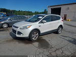 2014 Ford Escape Se White vin: 1FMCU9G90EUD90717