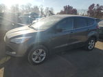 2014 Ford Escape Se Gray vin: 1FMCU9G91EUA68152