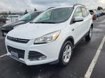 2014 Ford Escape Se vin: 1FMCU9G91EUE01806