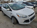 2015 Ford Escape Se White vin: 1FMCU9G91FUC82236