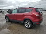 2016 Ford Escape Se Red vin: 1FMCU9G91GUB67363