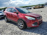 2016 Ford Escape Se Red vin: 1FMCU9G91GUC22412