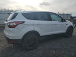 2017 Ford Escape Se White vin: 1FMCU9G91HUA51484