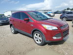 2013 Ford Escape Se Red vin: 1FMCU9G92DUA04457