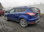 2014 Ford Escape Se Blue vin: 1FMCU9G92EUA34169