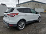 2014 Ford Escape Se White vin: 1FMCU9G92EUD05943