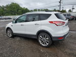 2014 Ford Escape Se Белый vin: 1FMCU9G92EUD05943