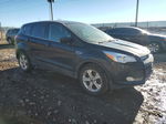 2015 Ford Escape Se Black vin: 1FMCU9G92FUA72065