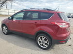 2014 Ford Escape Se Темно-бордовый vin: 1FMCU9G93EUD20225