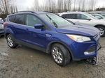 2015 Ford Escape Se Blue vin: 1FMCU9G93FUC89642