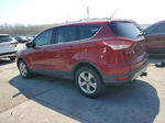 2016 Ford Escape Se Темно-бордовый vin: 1FMCU9G93GUB69129