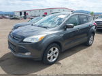 2016 Ford Escape Se Gray vin: 1FMCU9G93GUC60739