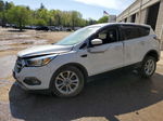 2017 Ford Escape Se White vin: 1FMCU9G93HUA62566