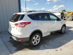 2013 Ford Escape Se Белый vin: 1FMCU9G94DUC14509