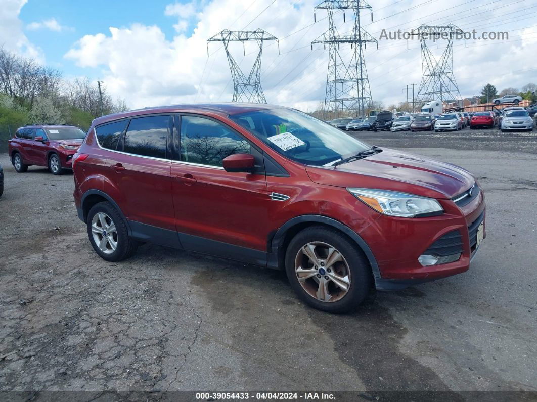 2014 Ford Escape Se Red vin: 1FMCU9G94EUE32516