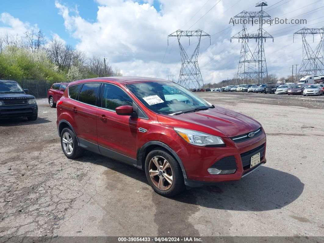 2014 Ford Escape Se Red vin: 1FMCU9G94EUE32516