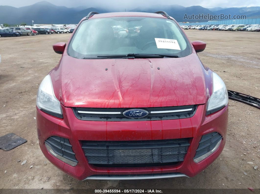 2015 Ford Escape Se Red vin: 1FMCU9G94FUB75214