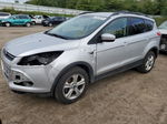 2013 Ford Escape Se Silver vin: 1FMCU9G95DUB73078