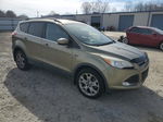 2013 Ford Escape Se Tan vin: 1FMCU9G95DUD66573